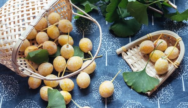 新鲜银杏果怎么去外皮 新鲜银杏果怎么去皮