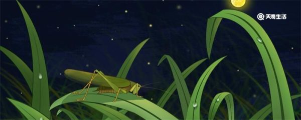 竹节虫的天敌是什么 竹节虫的天敌有哪些