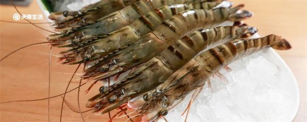 虾靠什么呼吸 虾类靠什么呼吸