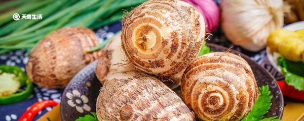 南薯是什么 南薯指的是什么