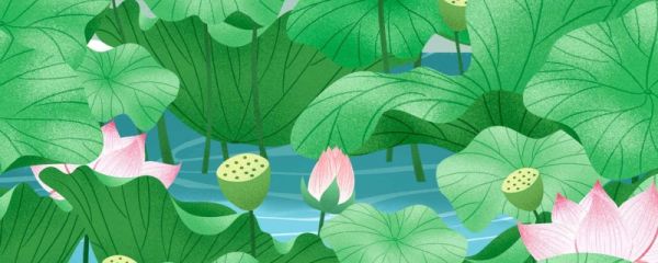 小满节气的风俗食物 小满节气特点和风俗有哪些