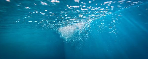 人体含水量是多少 人体含水量是多少ml