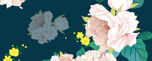 结婚证上的花是什么花 结婚证上的花叫什么花