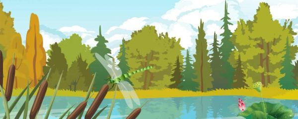 世界环境日可以怎么做 世界环境日是哪一天