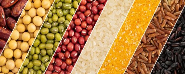 哪些是粗粮食物 什么是粗粮食物