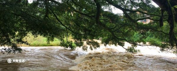 水灾害有哪些 水灾害是什么