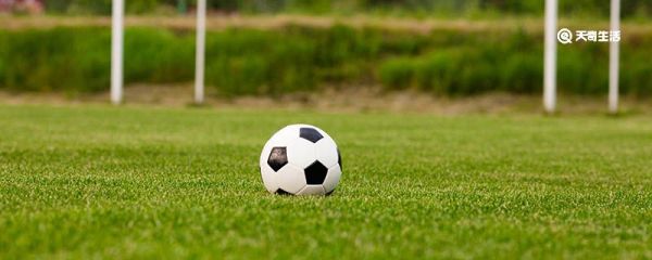 2022世界杯丹麦主力阵容 丹麦2022世界杯主力人员