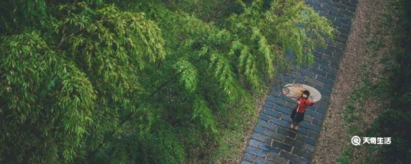 什么时候出梅 出梅的时间是什么时候