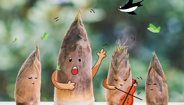 竹笋可以和鸡蛋一起吃吗   求解竹笋可以和鸡蛋一起吃吗