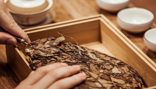 茶叶渣应扔哪个垃圾桶 茶叶渣应扔哪种垃圾桶