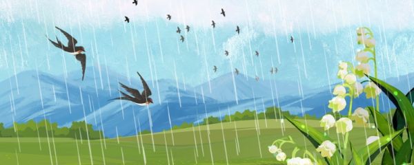 雨水节气有哪些特点 雨水节气的时间