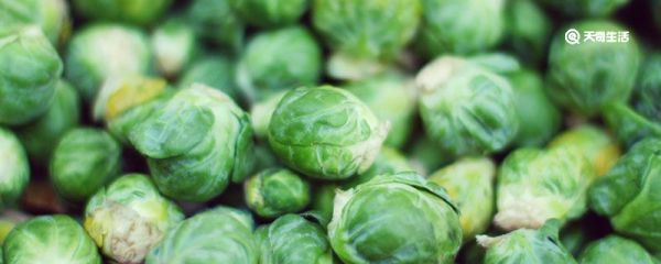 小大头菜叫什么名字 小大头菜是什么菜