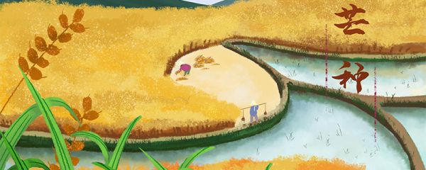 芒种有哪些传统风俗 芒种的传统风俗有哪些