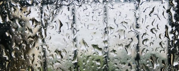 雨水节气过后还冷吗 雨水后的农事活动