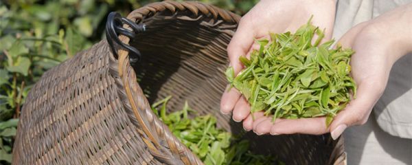 湖南常德特产有哪些土特产 湖南常德的土特产是什么