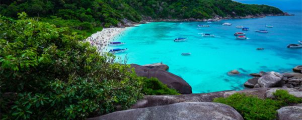 普吉岛的夏天什么梗 普吉岛的夏天是什么梗