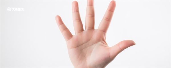 人的手五个指头分别叫什么 手上五个指头分别怎么叫