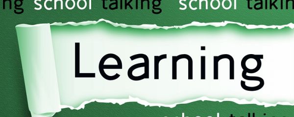 park是什么意思 park是什么意思英语