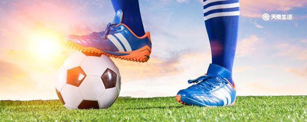 2022世界杯厄瓜多尔主力阵容 2022世界杯厄瓜多尔有哪些主力人员