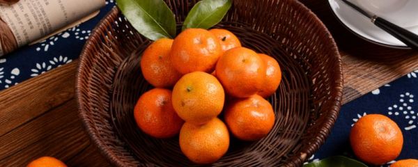 桔子能放冰箱里冷藏吗 桔子能不能放冰箱里冷藏