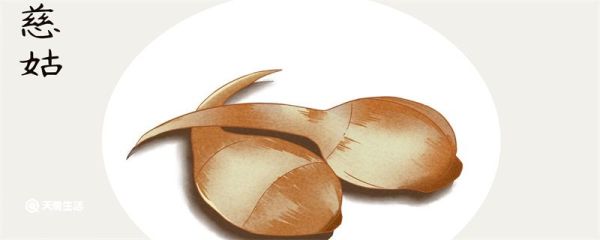 茨菇是什么 茨菇是什么植物