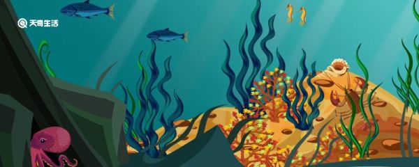 海麻线是什么东西 海麻线又叫什么