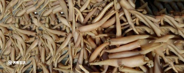 海笋怎样才能去掉腥味和粘水 海笋去掉腥味的方法
