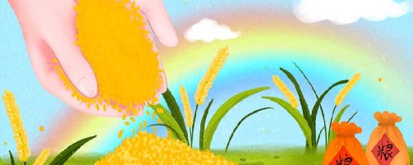 关于世界粮食日的由来简短 世界粮食日标志的寓意