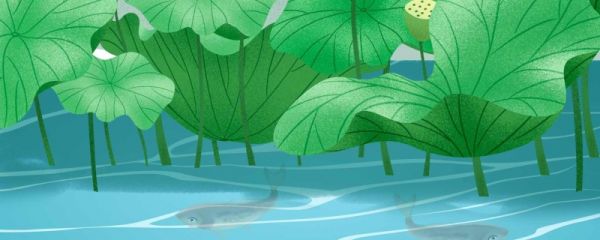 三伏天中初伏是几月几日 为什么入伏后天气会变热