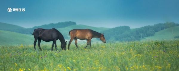 六畜是指哪六畜 六畜是指哪六畜六禽