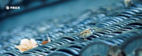 白露时节喝和露水时节一样吗 白露时节和露水时节一样吗