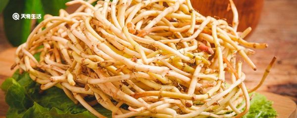 鱼腥草的功效与作用