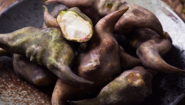 菱角壳属于什么垃圾  菱角壳属于哪一类垃圾