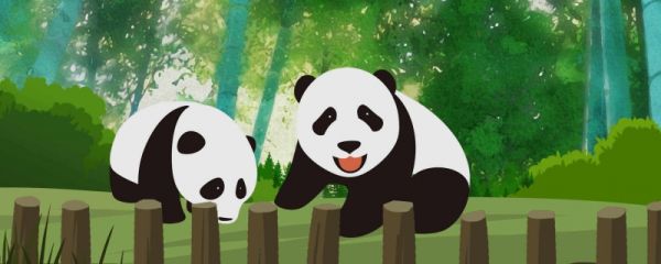 大熊猫美香回家了吗 大熊猫美香什么时候去美国的