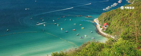 芭城是哪个国家 芭城指的是哪个国家