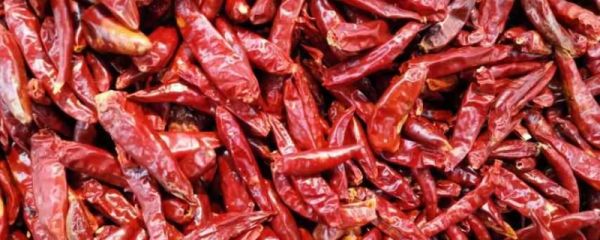 长期吃辣会怎么样 长期吃辣会得痔疮吗