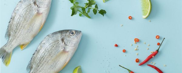 黄鱼切块蒸几分钟能熟 黄鱼切块蒸多久能熟