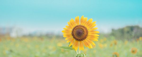 春天是哪几个月 春天指几月到几月