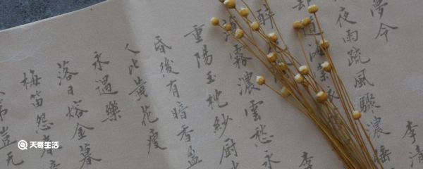 汉字的发展史 汉字的发展史是什么