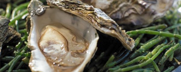 汕头特产 汕头有哪些特产