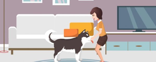 导盲犬怎么分辨红绿灯 能看到颜色吗