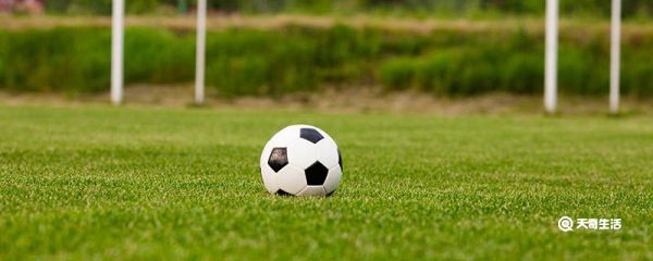 伊朗足球什么水平 伊朗足球实力怎么样