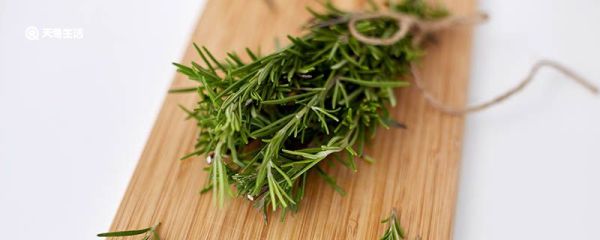 迷迭香是什么 迷迭香的生长习性