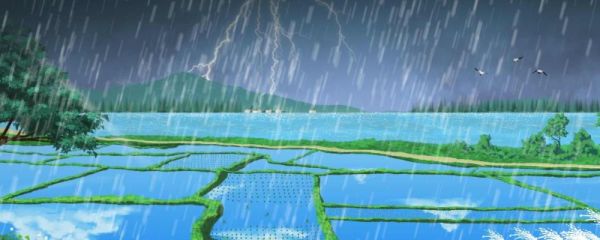 谷雨茶属于什么茶类 有什么功效