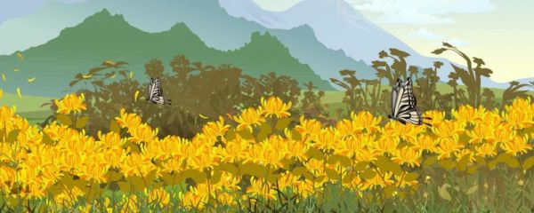 中国重阳节的意义是什么 重阳节有什么风俗