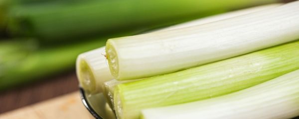 立春后大葱怎么保存 怎么判断大葱变质了