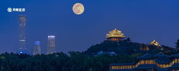 中秋节都有什么活动 中秋节有哪些传统活动