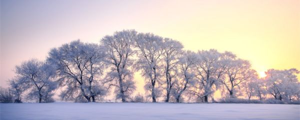 东北属于华东还是华北 东北属于华东吗