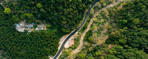 热带雨林的作用 热带雨林有什么作用