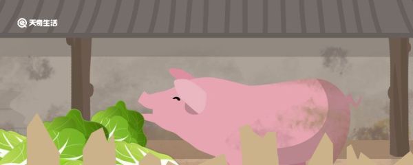 猪脆骨是哪个部位 猪脆骨煮多长时间能熟